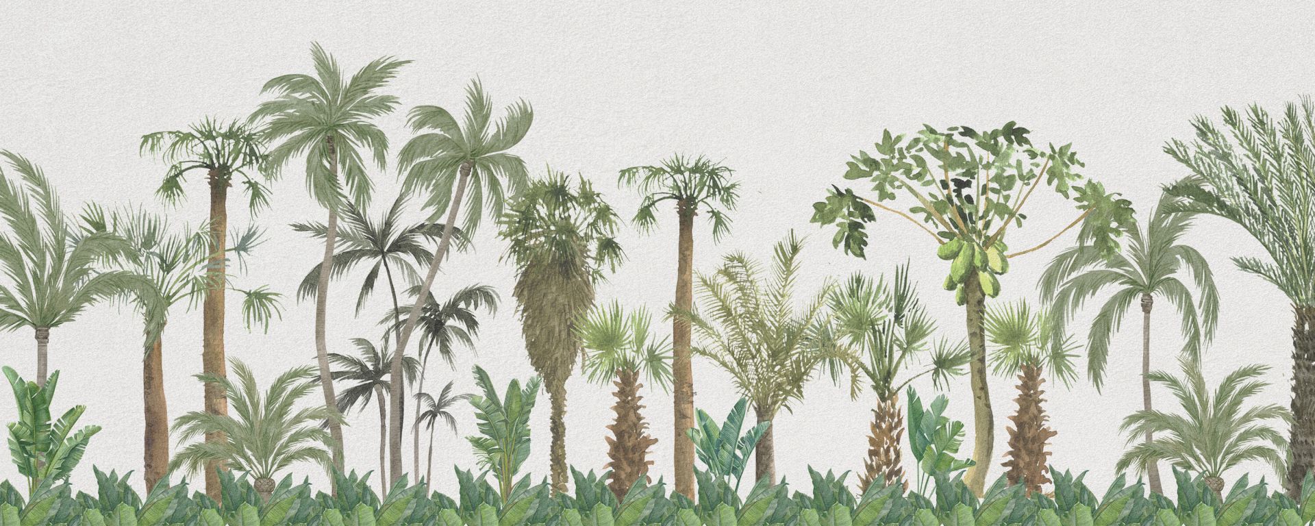 Forêt tropicale main product photo
