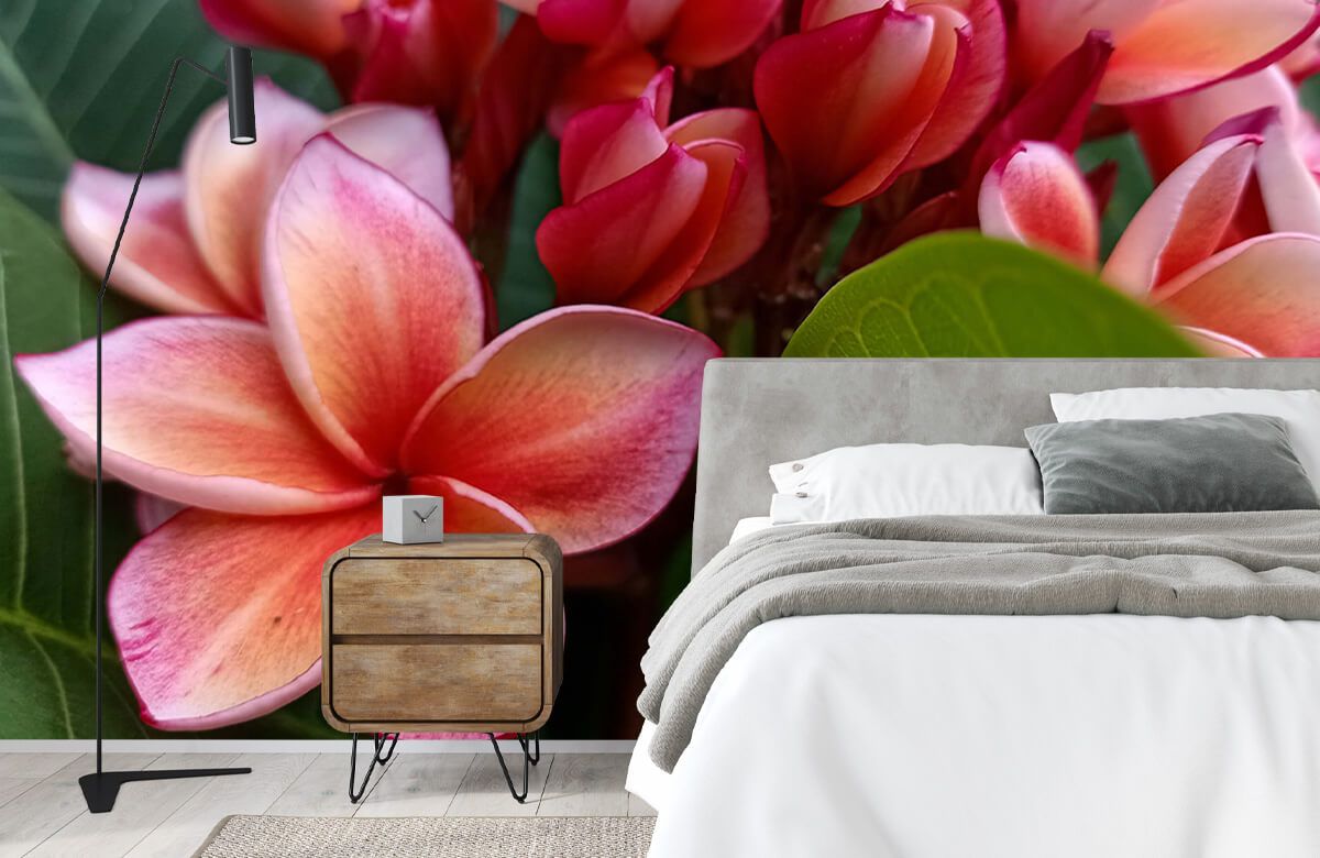 Fleurs tropicales main product photo