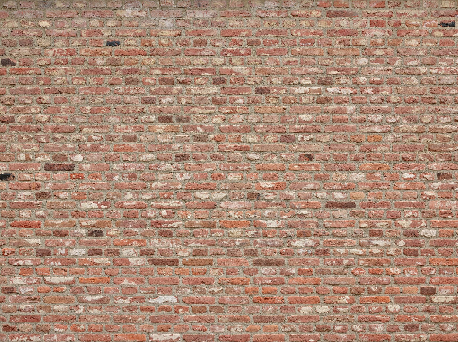 Mur avec des briques de différentes couleurs