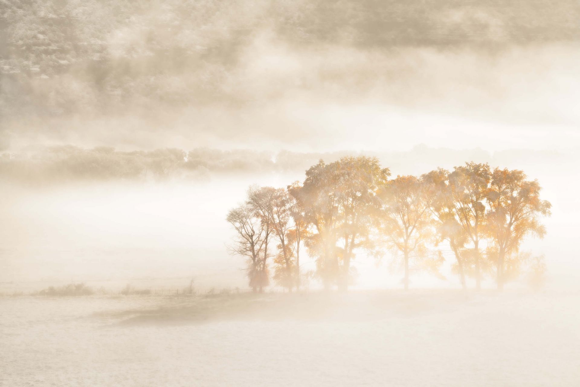 Autumn Dreams Autumn Dreams