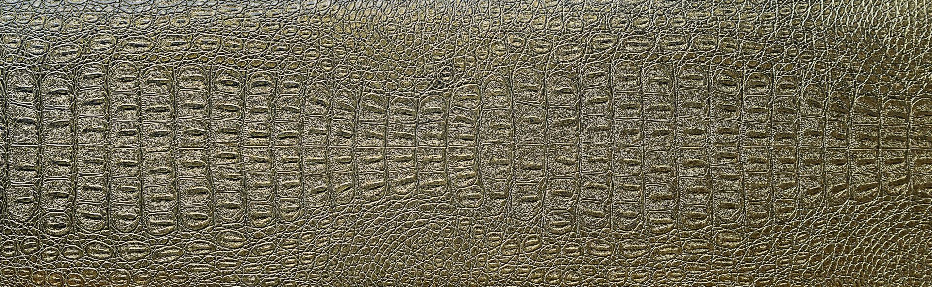 Peau de crocodile Peau de crocodile