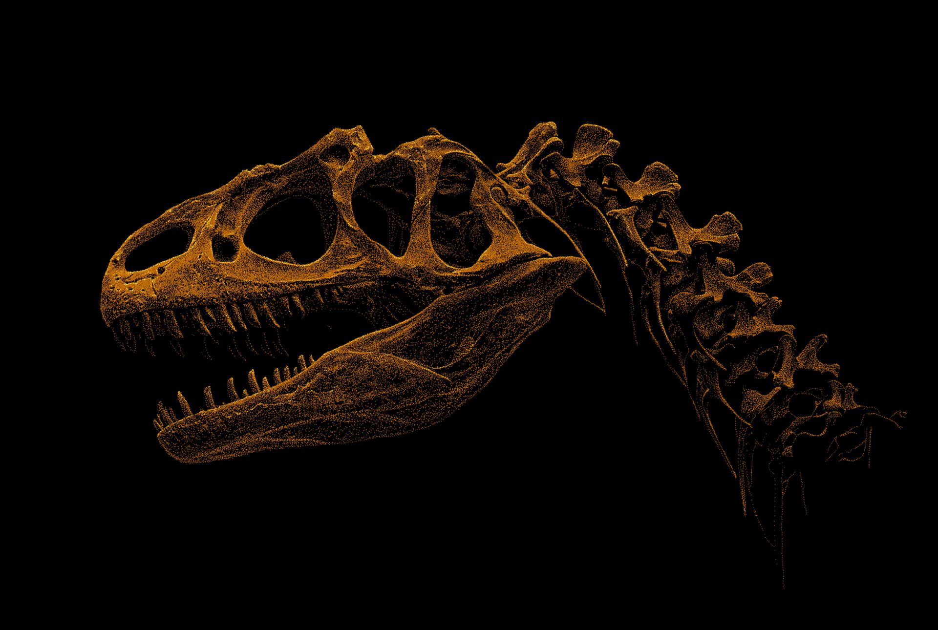 Squelette d'un dinosaure Squelette d'un dinosaure