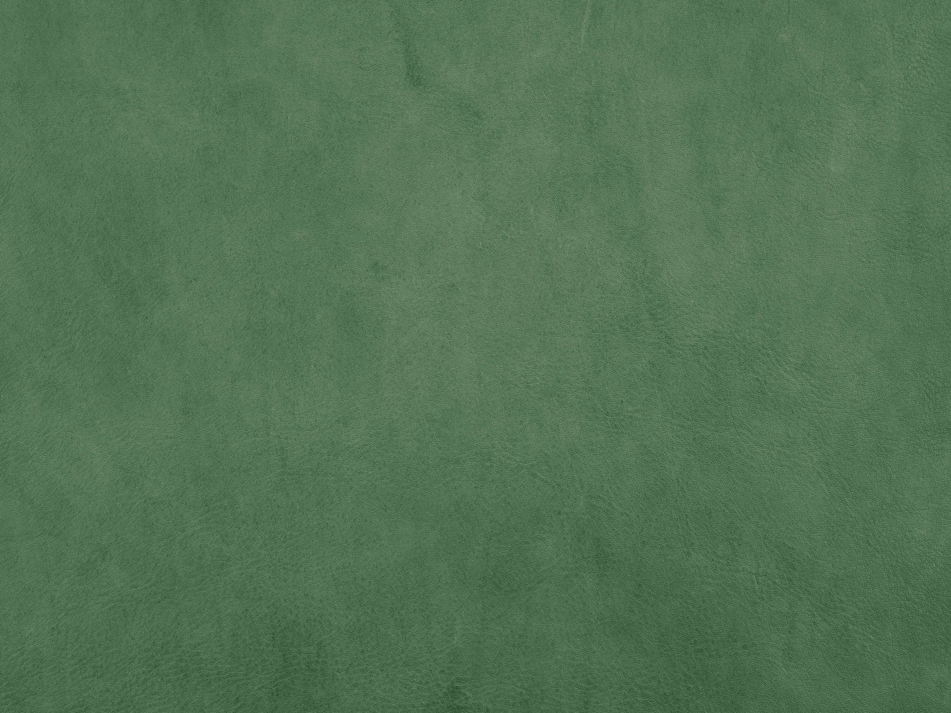 Cuir vert