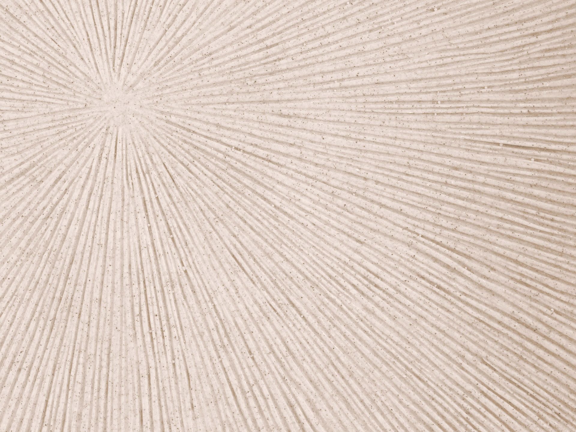 Texture avec lignes lin soleil main product photo