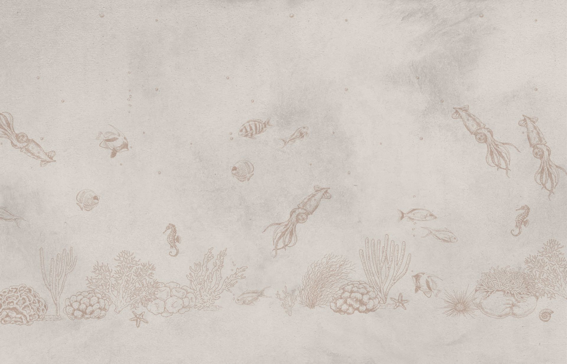 Taupe de la mer des calmars Taupe de la mer des calmars