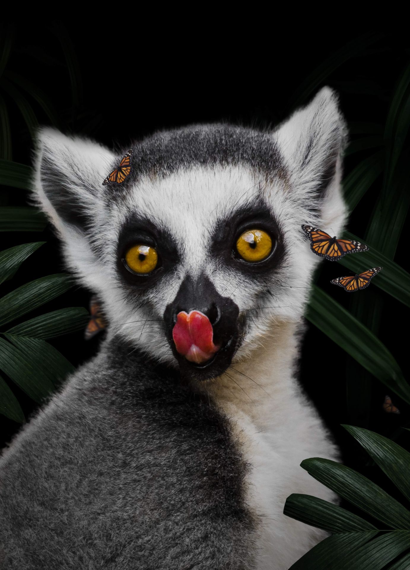 Jungle Lemur Portrait Jungle Lemur Portrait