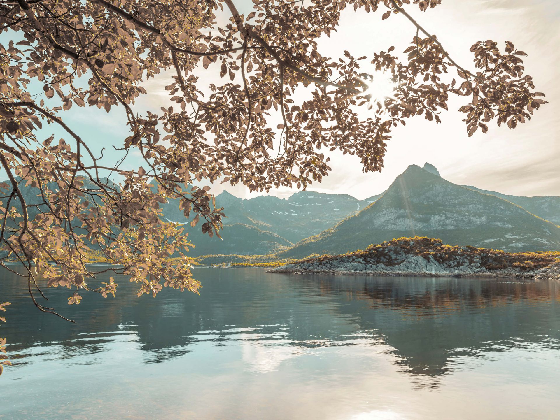 Un fjord norvégien main product photo