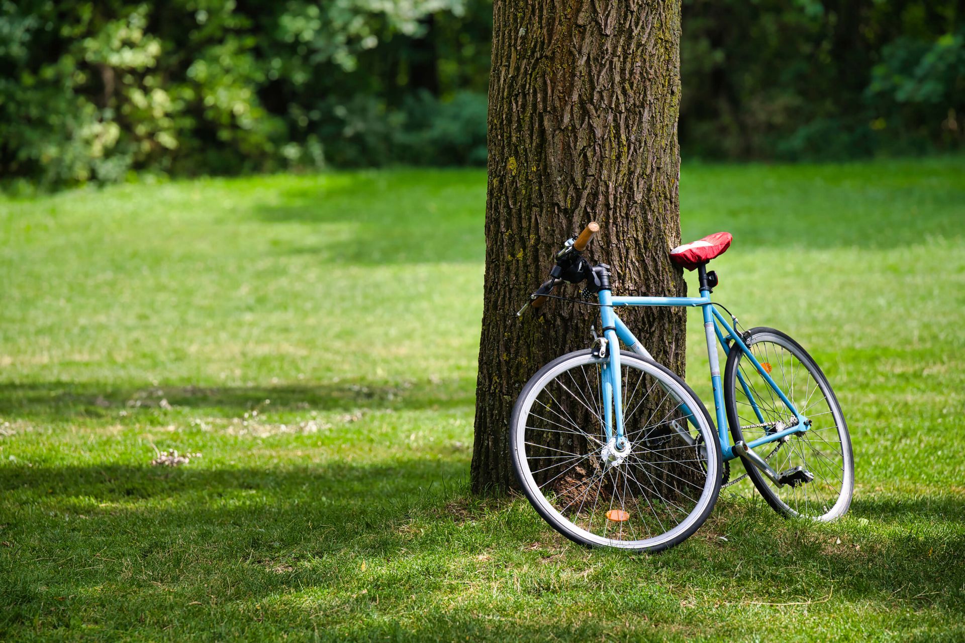 Vélo dans le parc Vélo dans le parc