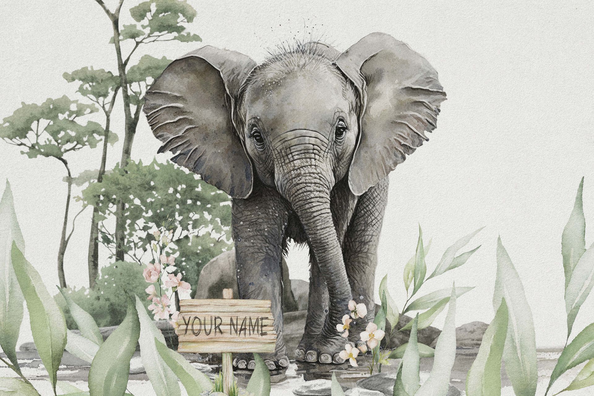 Bébé éléphant dans la jungle Bébé éléphant dans la jungle