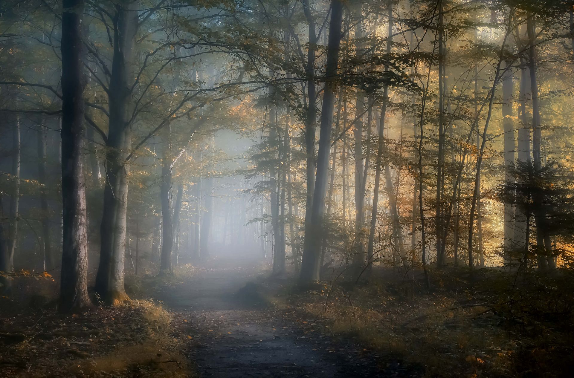 Autumn Symphony Autumn Symphony