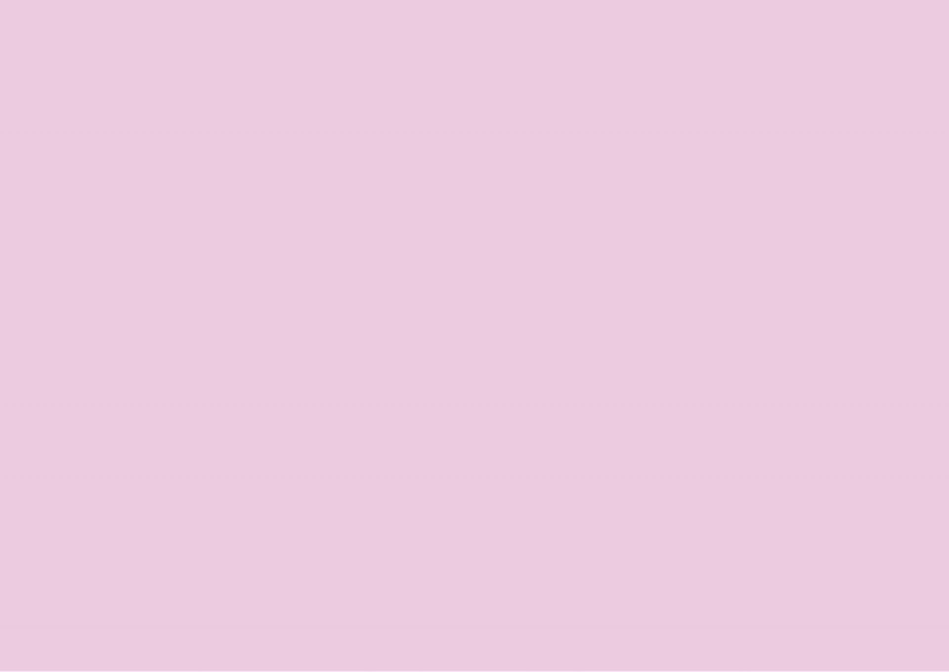 Rose pourpre Rose pourpre