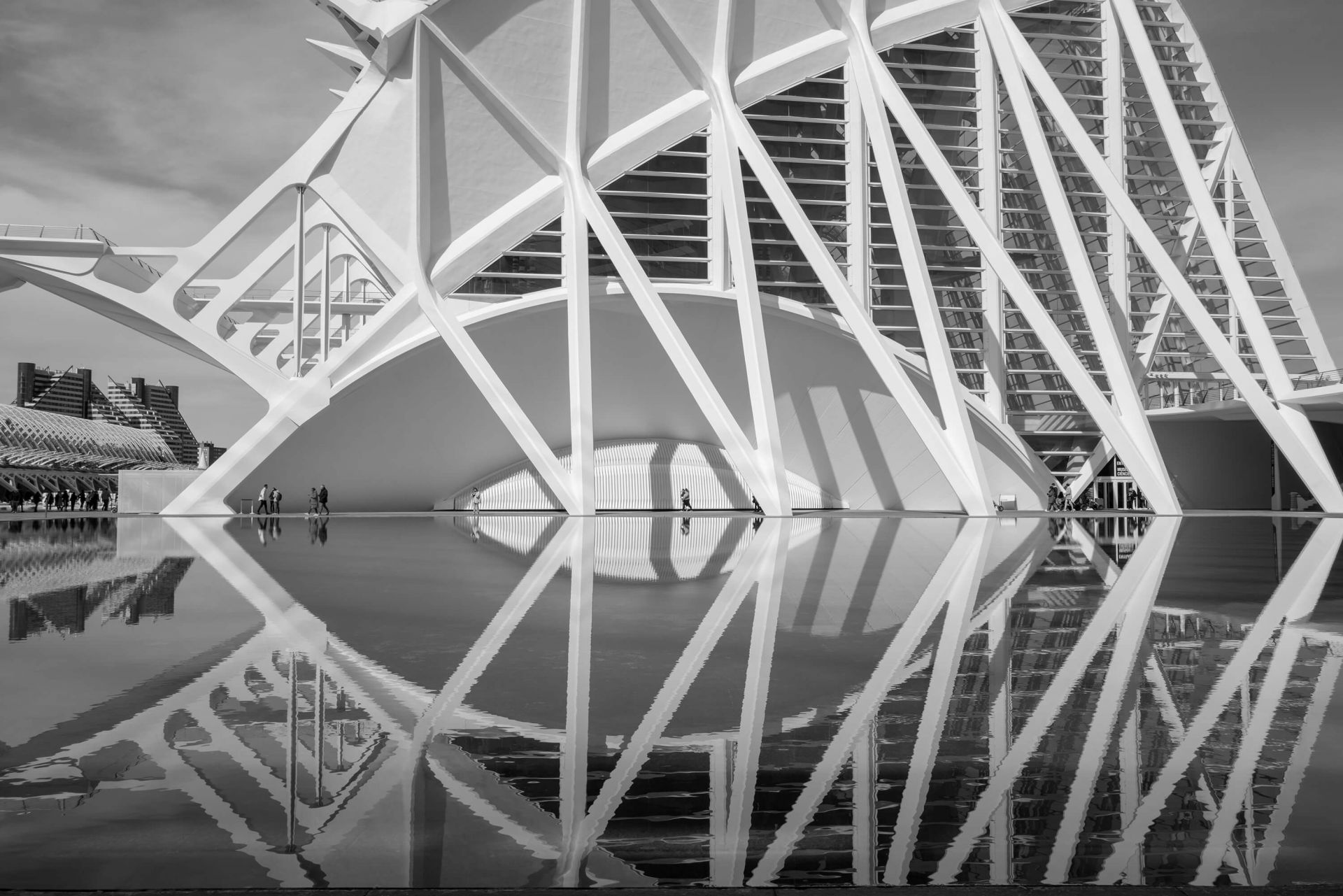 Museo de las Ciencas Principe Felipe - Valencia Museo de las Ciencas Principe Felipe - Valencia
