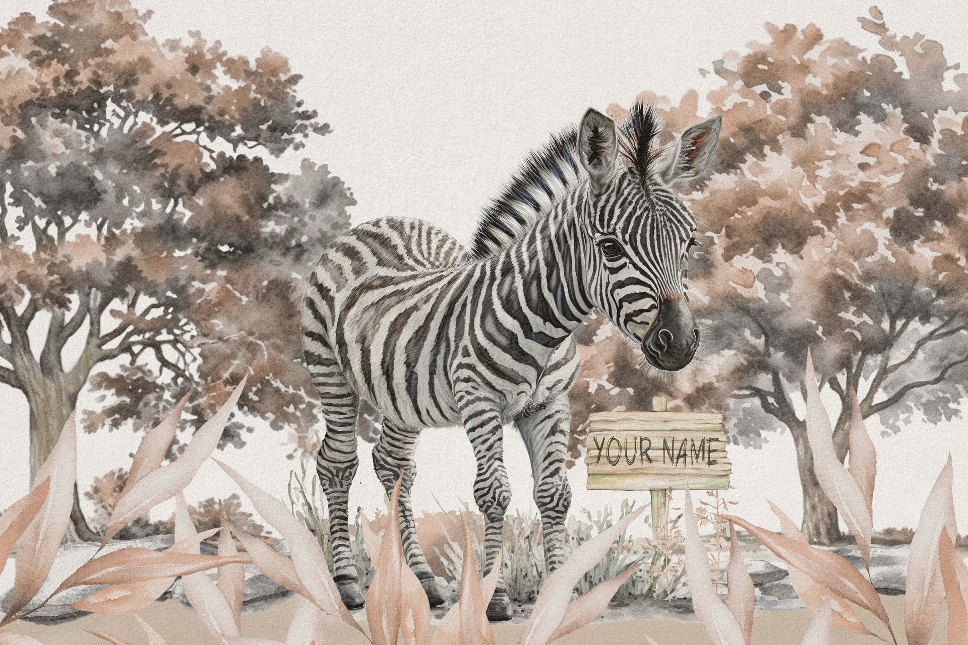 Bébé zèbre dans la nature taupe Bébé zèbre dans la nature taupe
