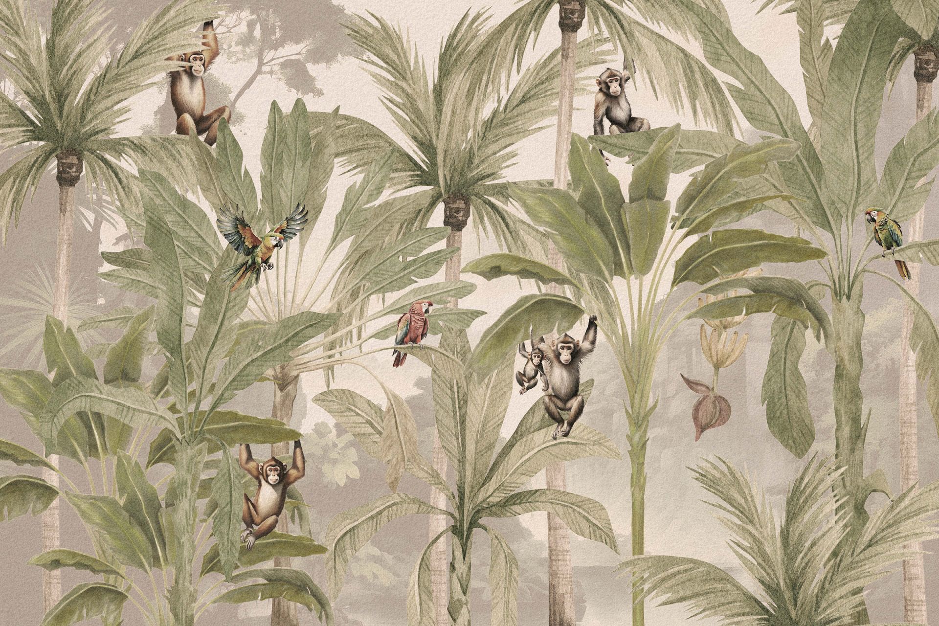Jungle avec singes et perroquets Jungle avec singes et perroquets