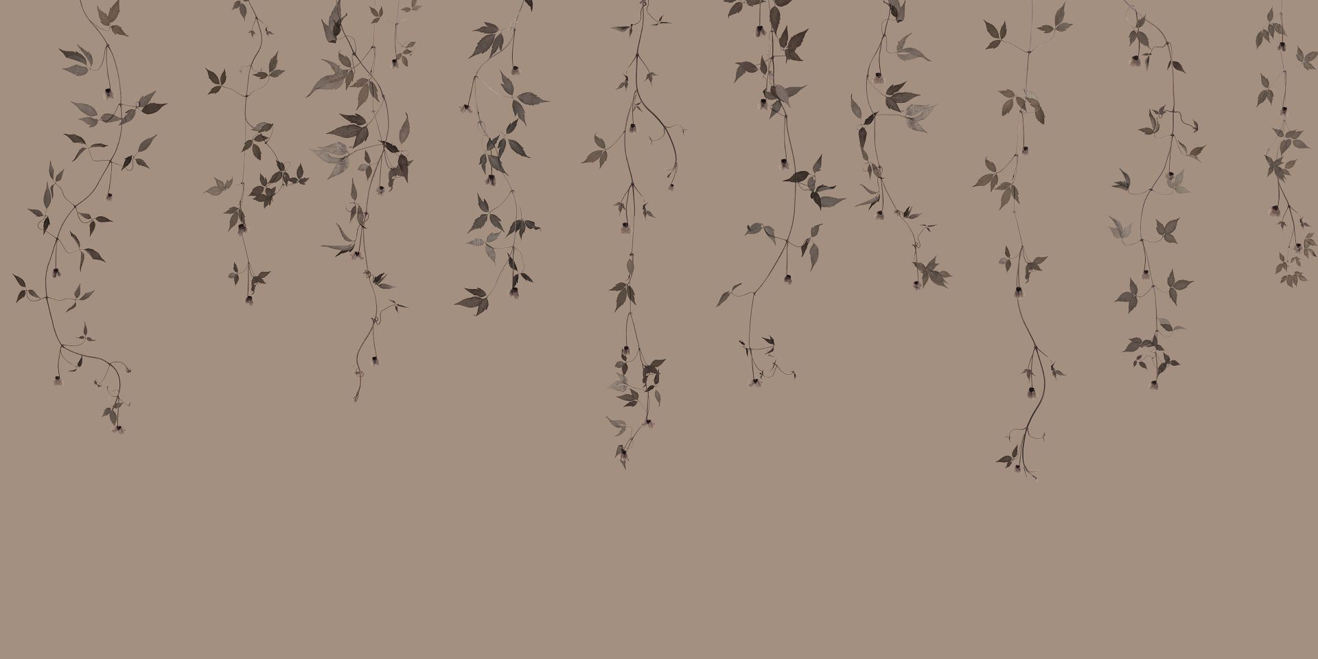 Brins de clématite sur taupe