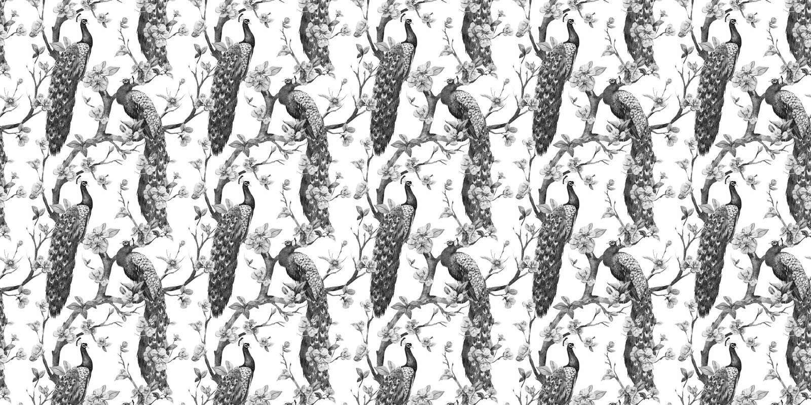Splendeur Monochrome de Paon
