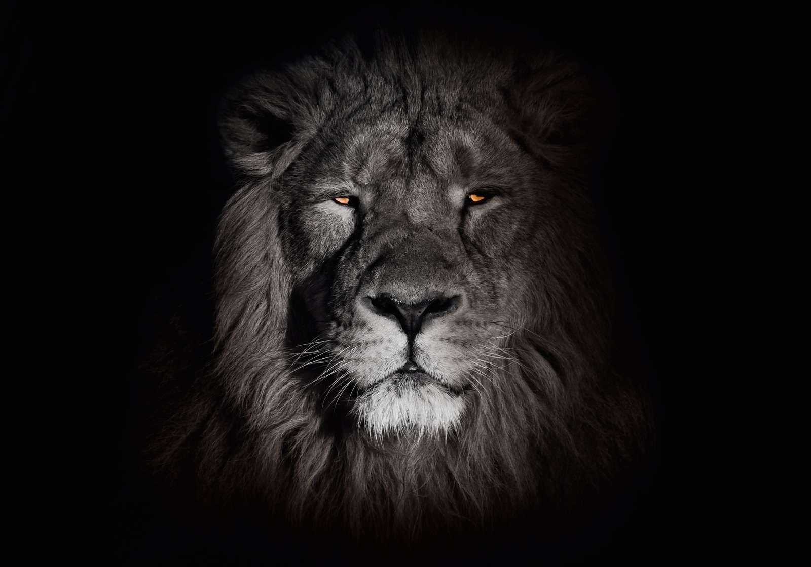 Regard de la Nuit Regard de la Nuit