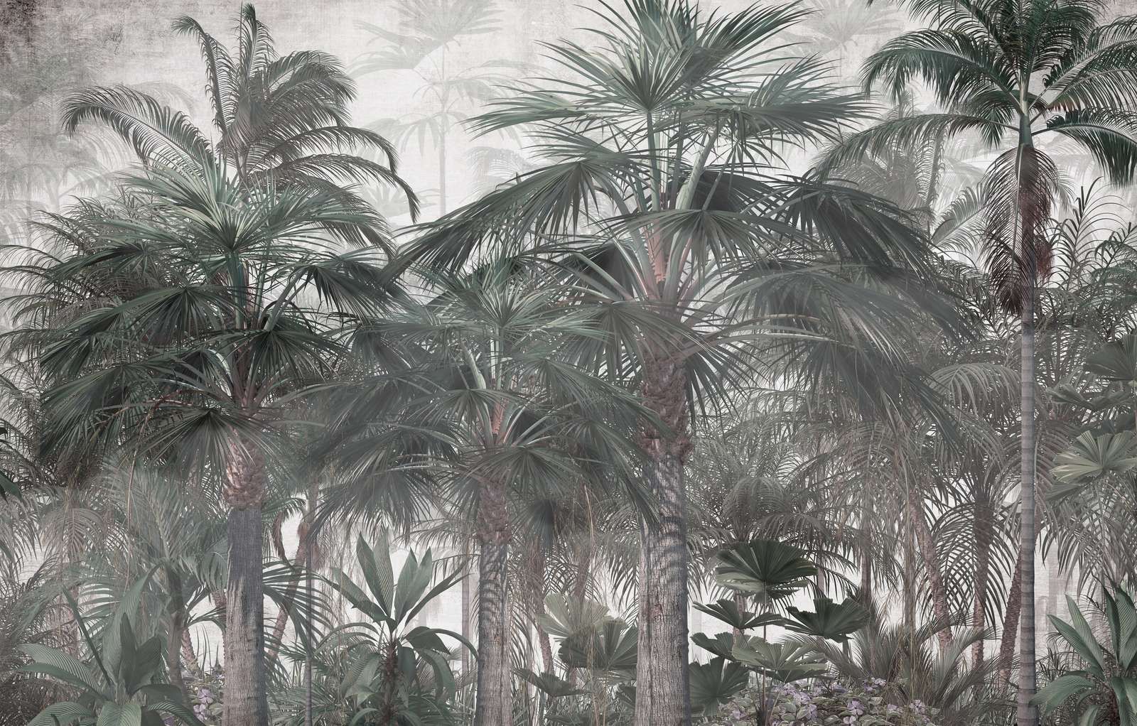 Schemerige Palmsereniteit