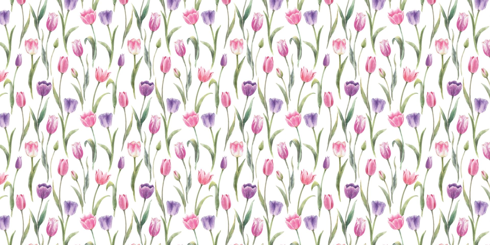 Jardin de Printemps, Splendeur des Tulipes