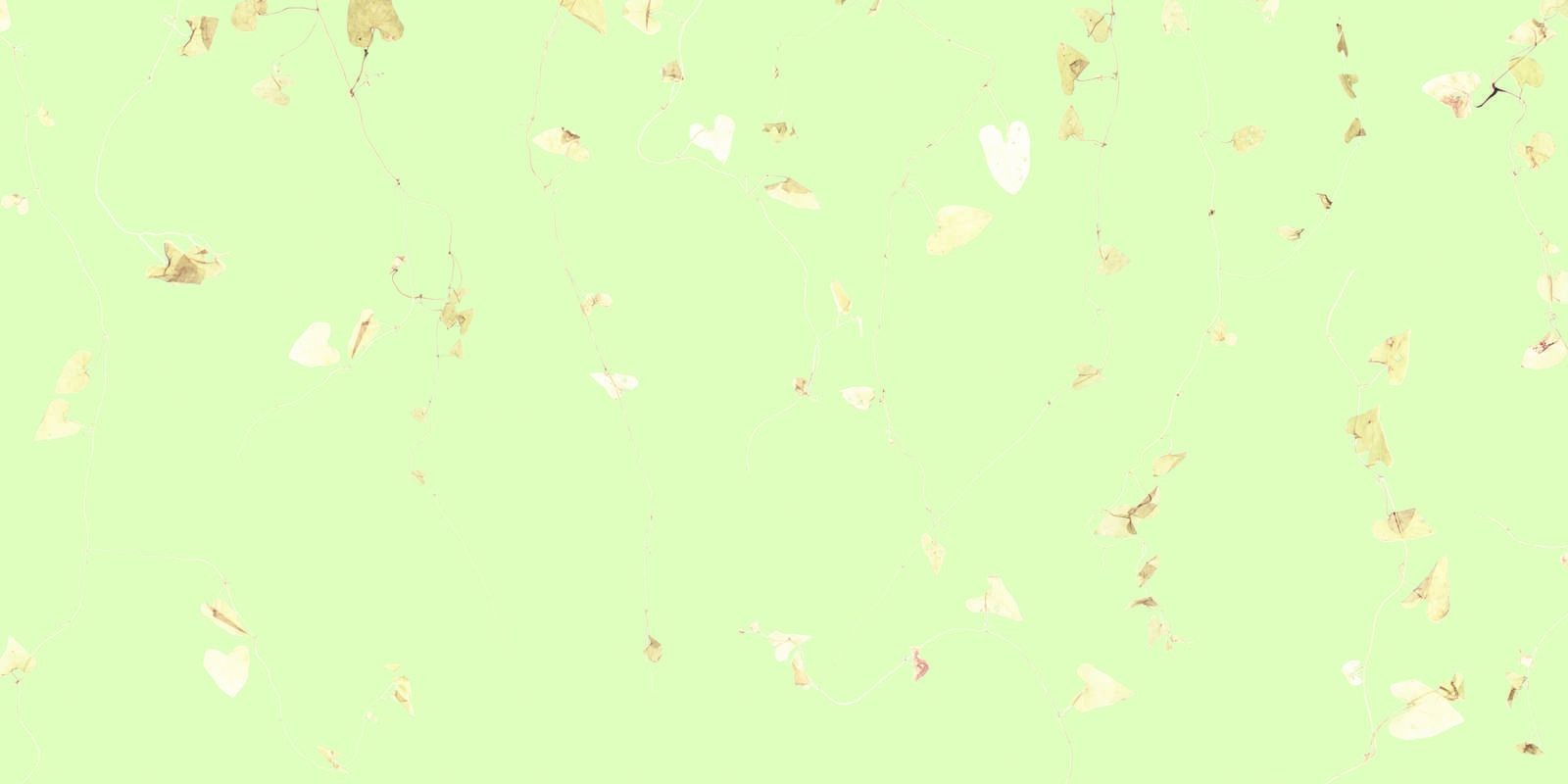 Branches de tilleul - vert frais