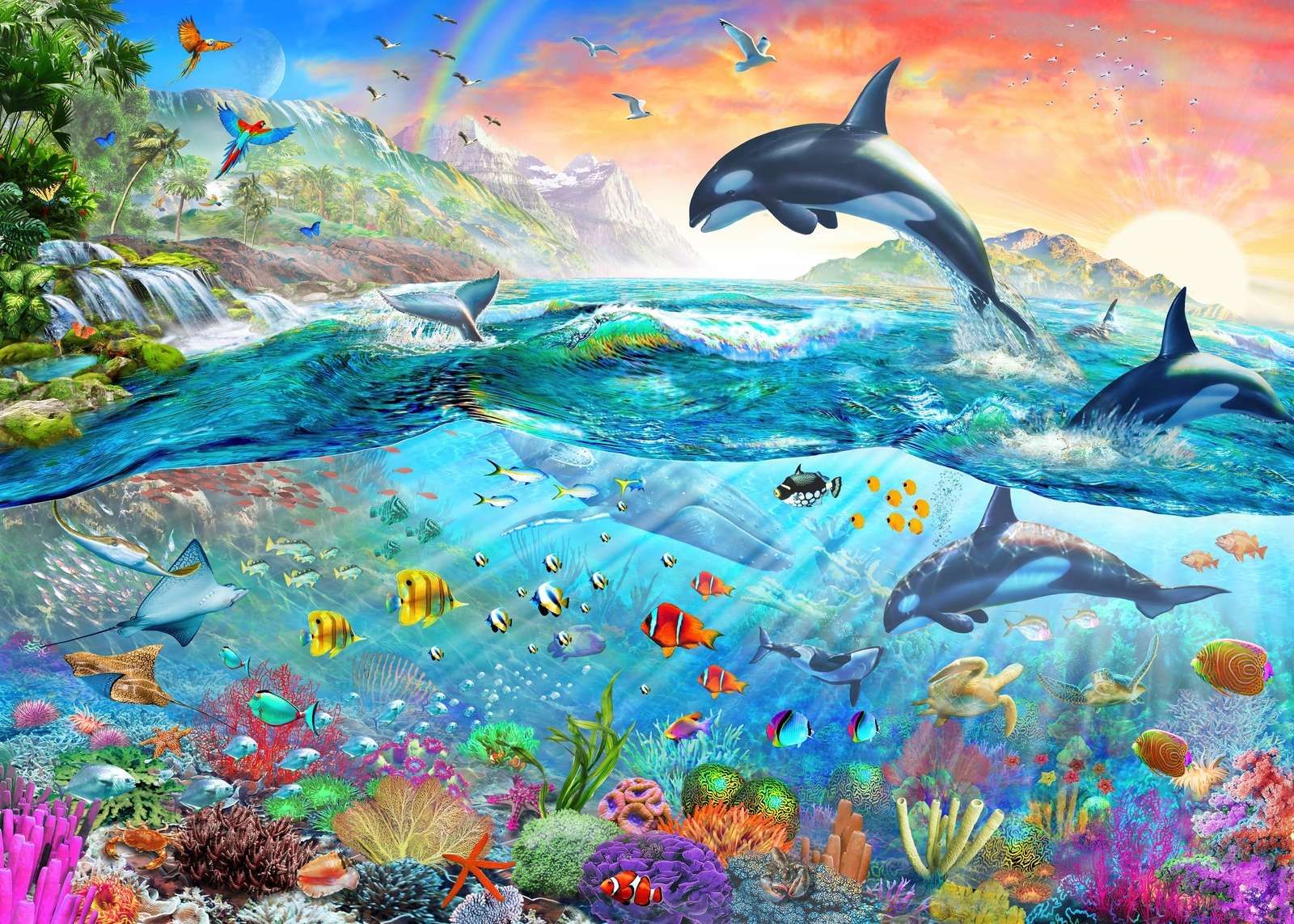 Seaworld Paradise Seaworld Paradise