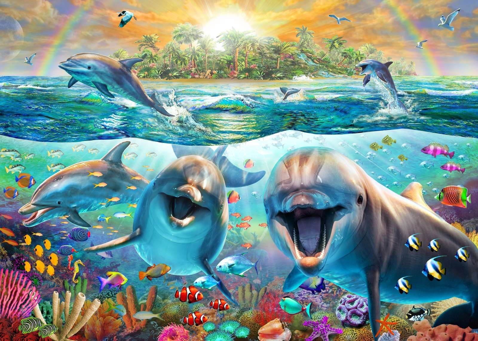 Dancing Dolphins Dancing Dolphins