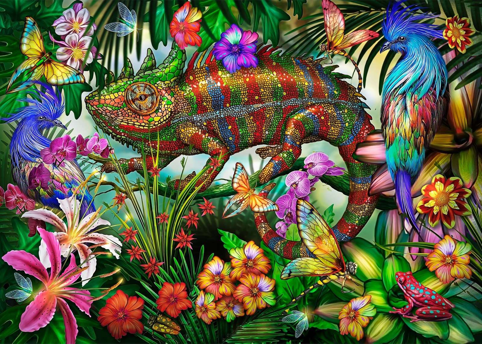 Chameleon Jungle Chameleon Jungle