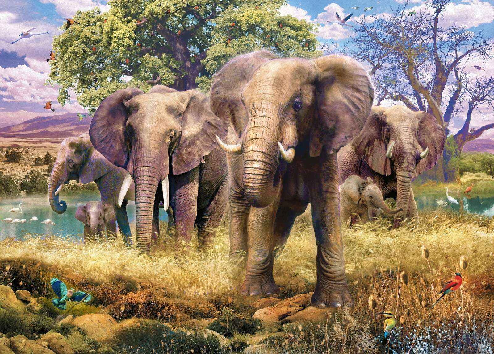 Elephant Faily Elephant Faily