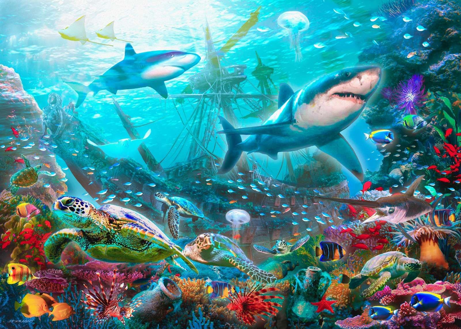 Sharks And Pirate Wreck Sharks And Pirate Wreck