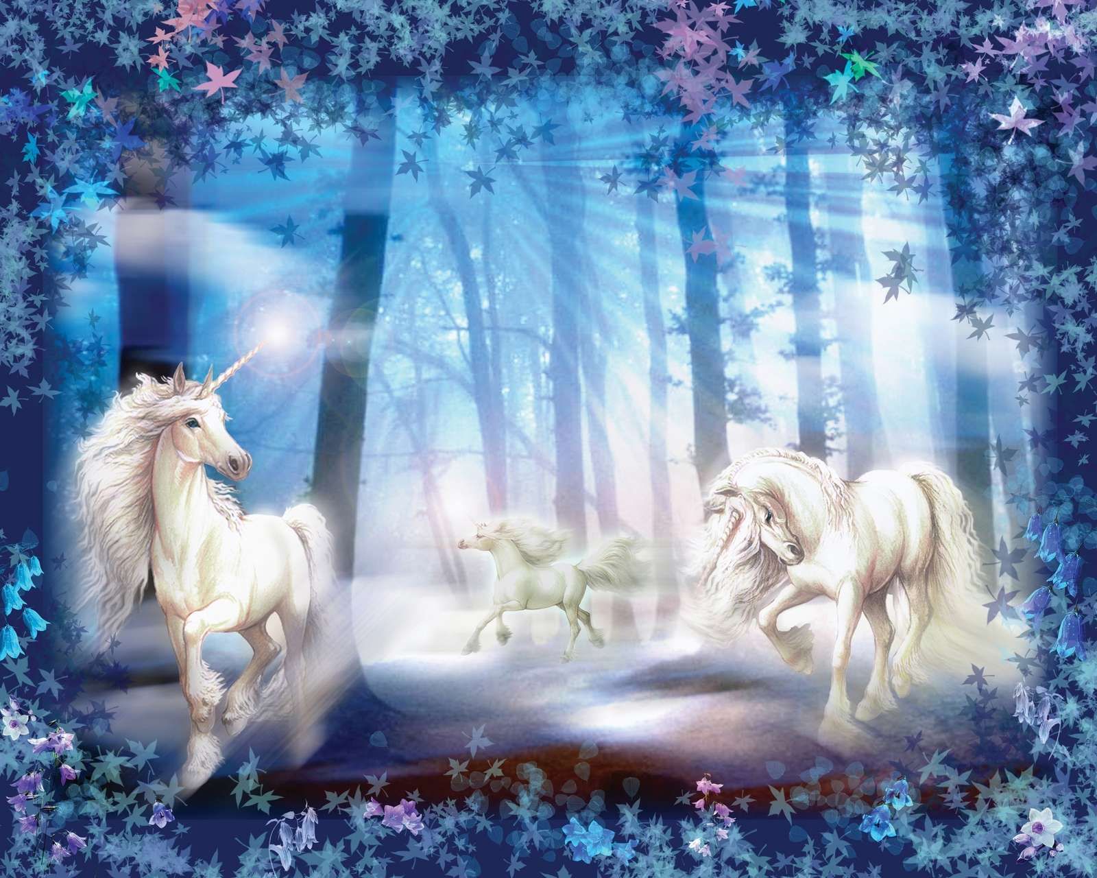 Unicorns Unicorns