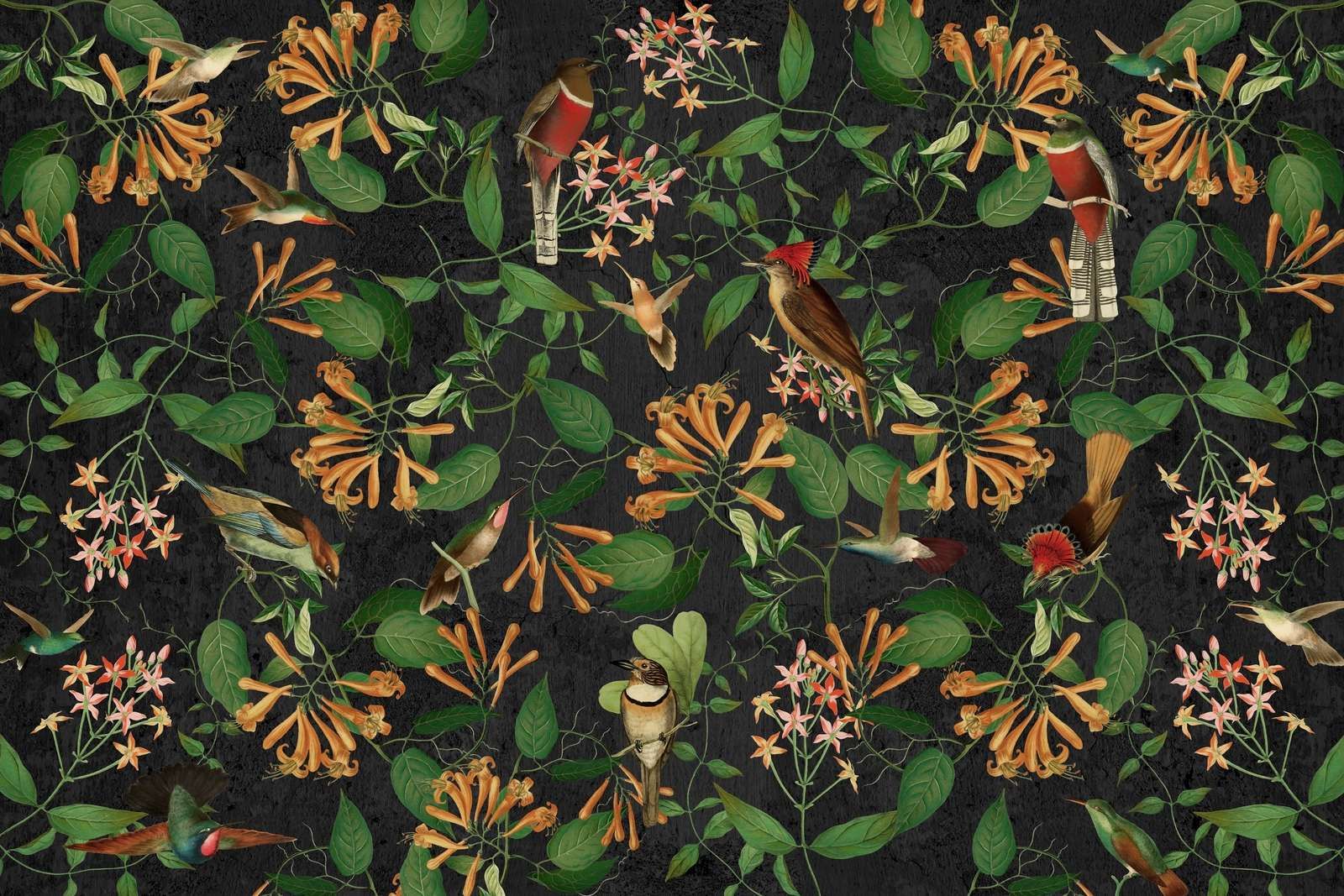 Mélodie du jardin de minuit Mélodie du jardin de minuit