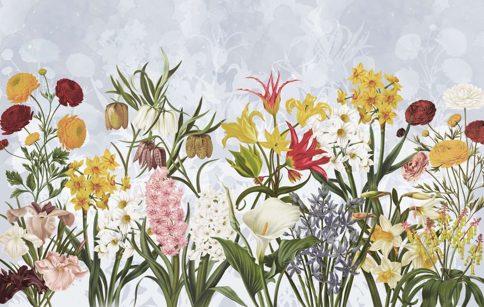 Fleurs de printemps - Ciel bleu nuageux