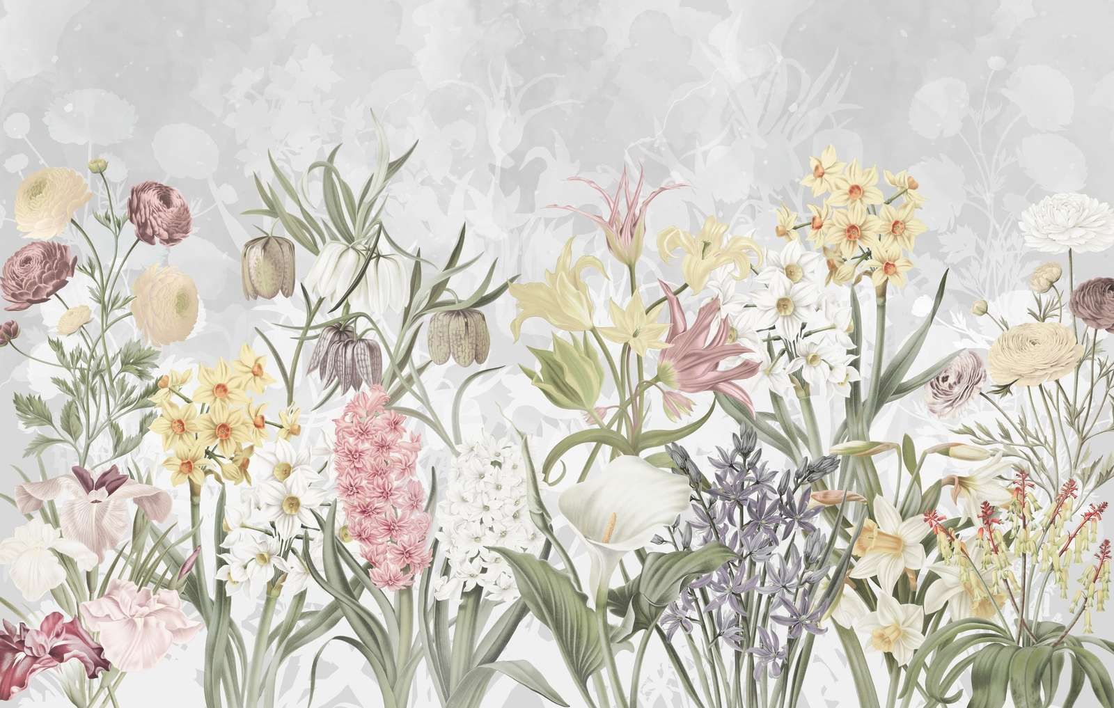 Fleurs de printemps - Lavande subtile