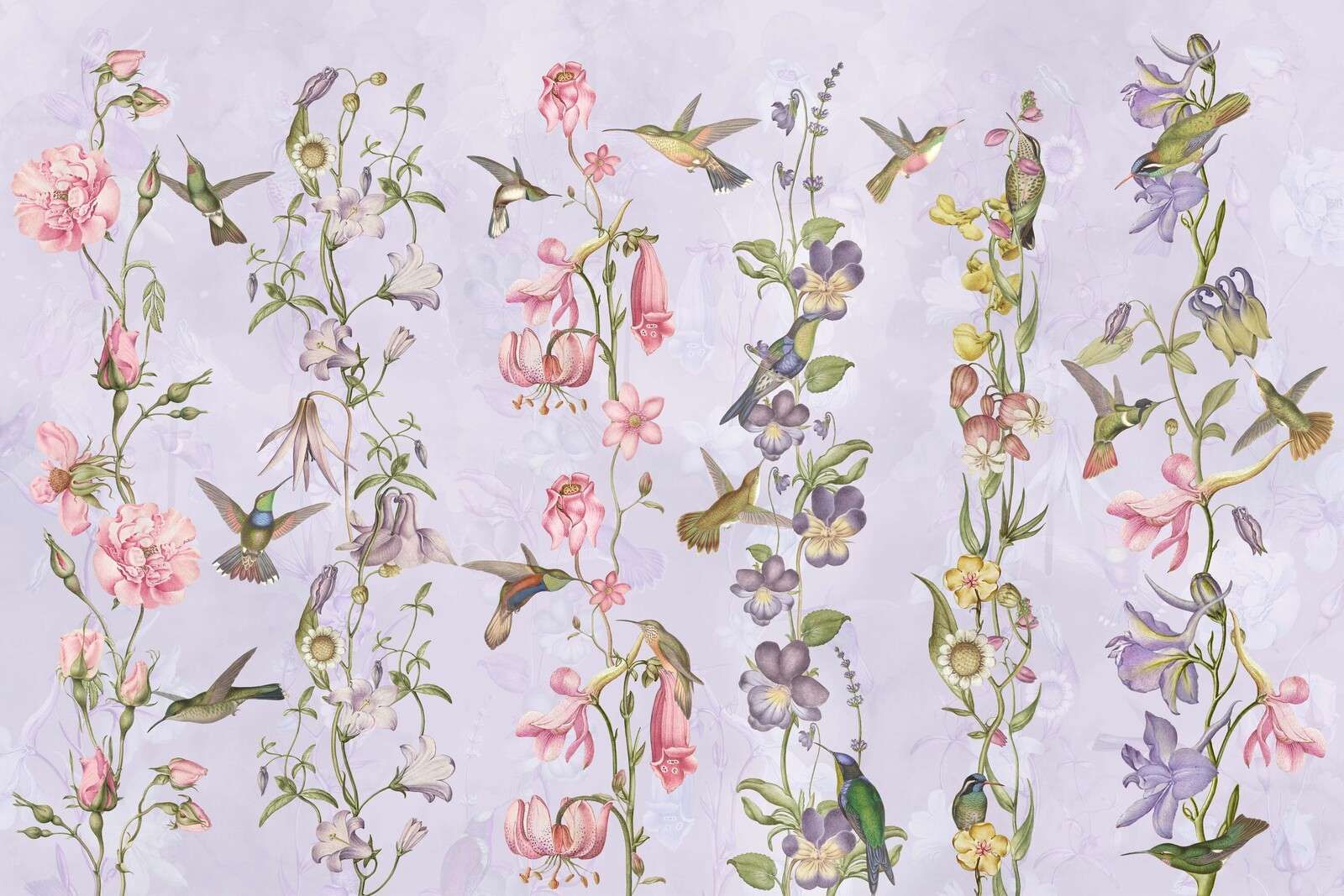 Weadow et Fleurs de Jardin Violet