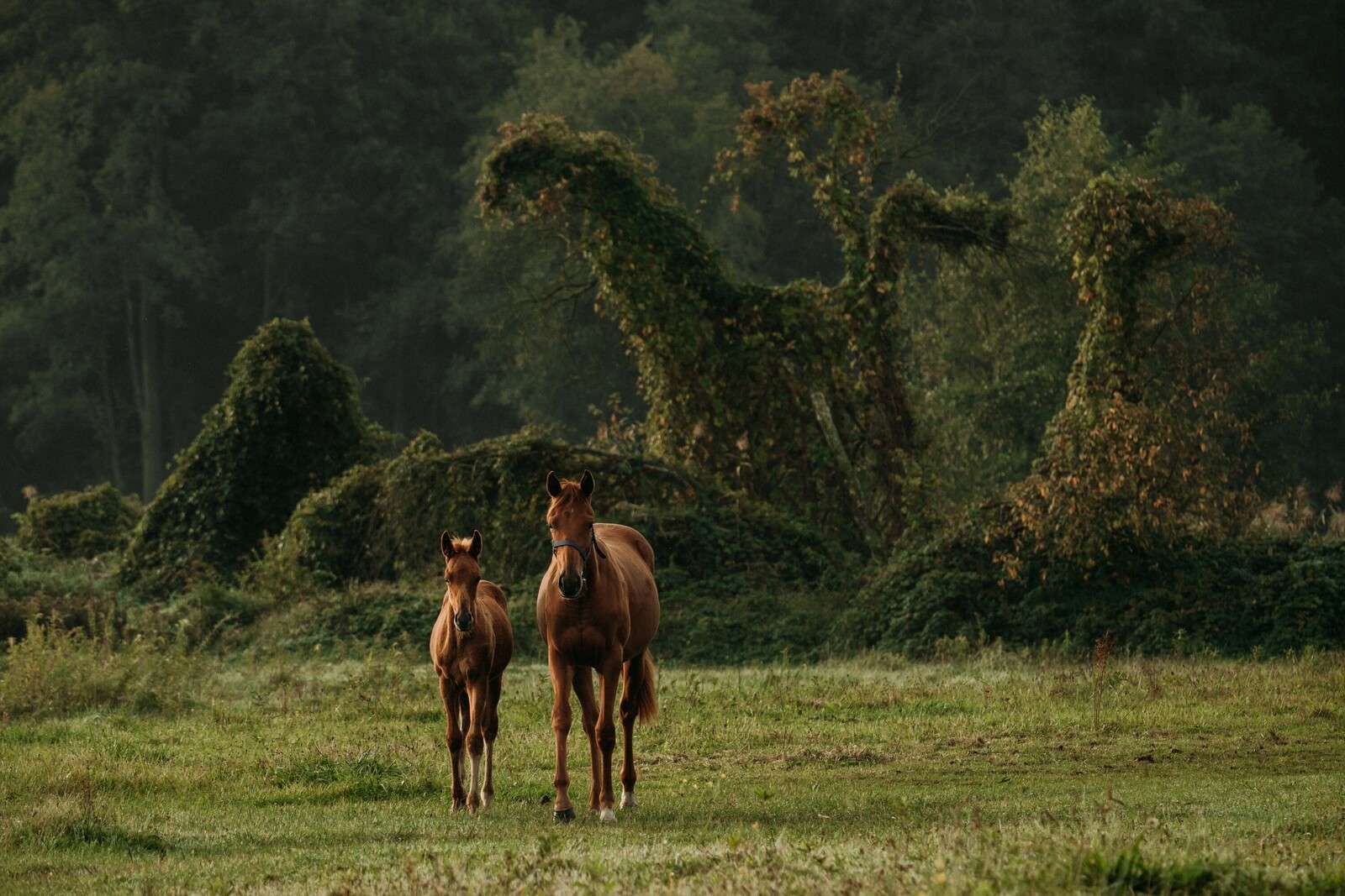 Chevaux dans un paysage mystique