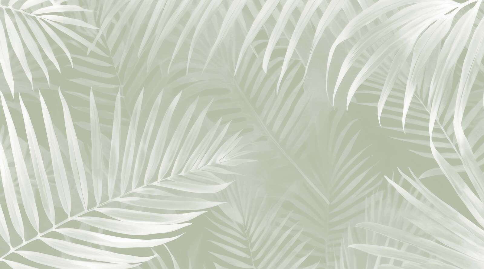 Feuilles de palmier brumeuses - vertes