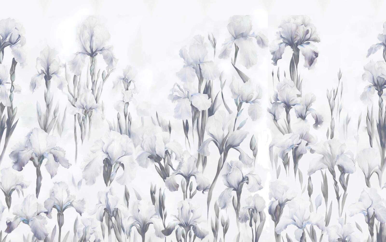 Iris dansent gris sans couture