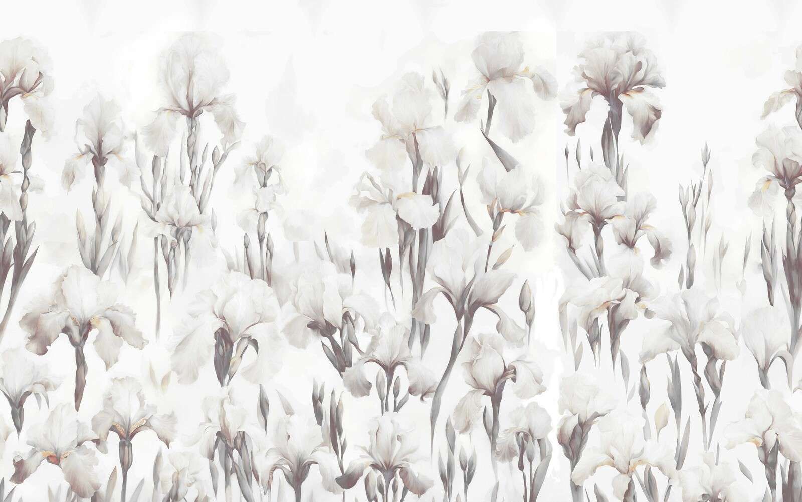 Iris Dansent Beige Muet Sans Couture