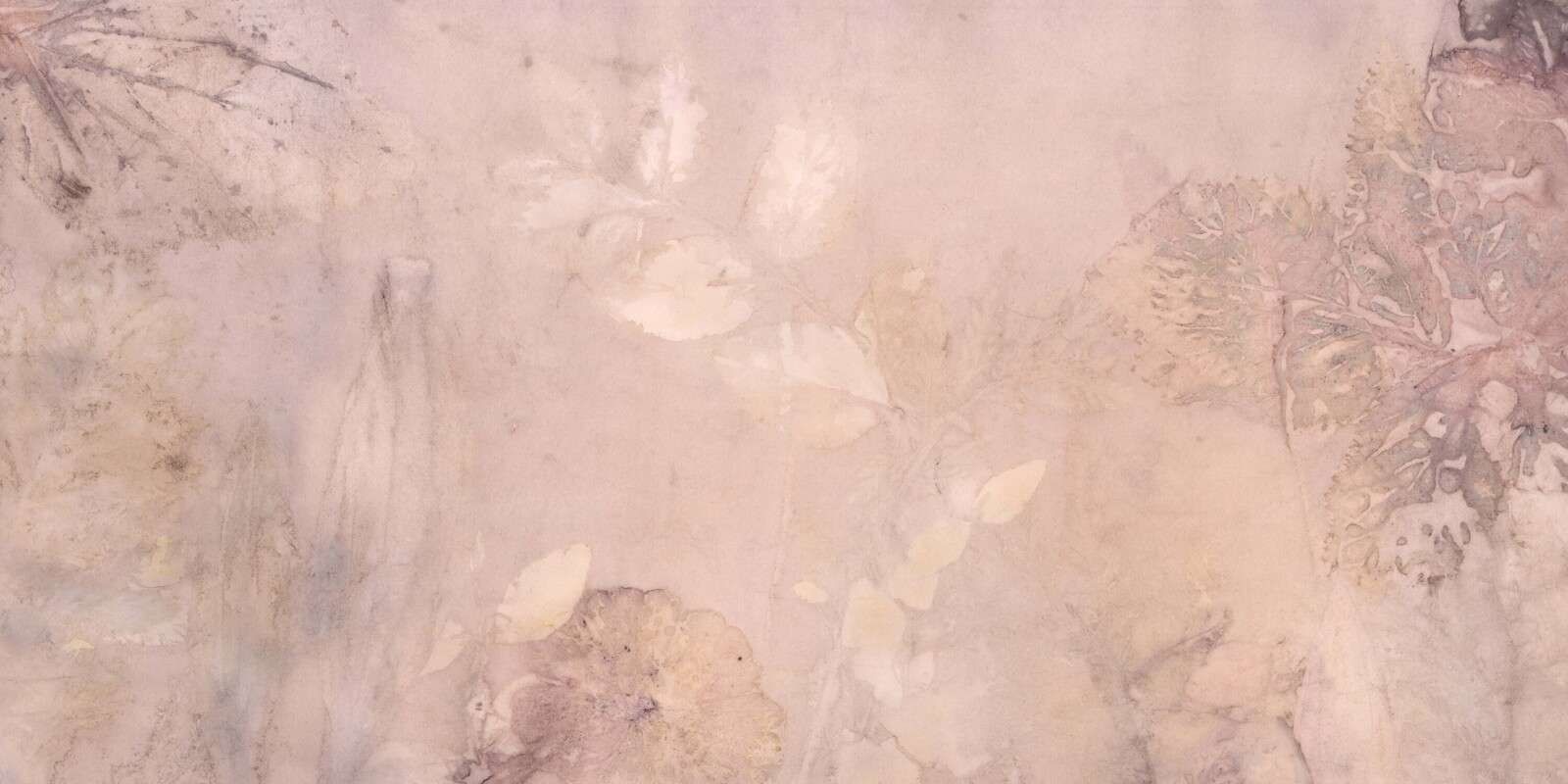 Pavot et géranium sauvage - mauve Pavot et géranium sauvage - mauve