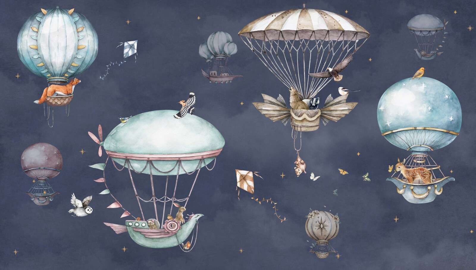 Vol en montgolfière
