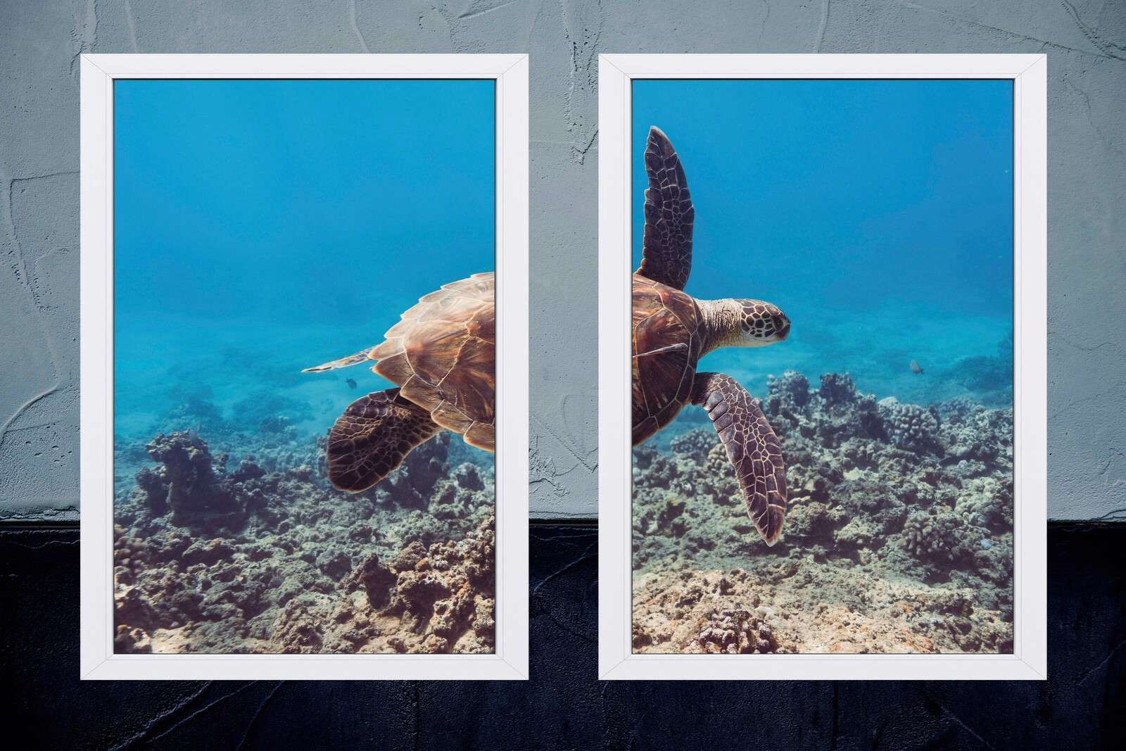 Tortue de mer au-dessus du récif corallien Tortue de mer au-dessus du récif corallien