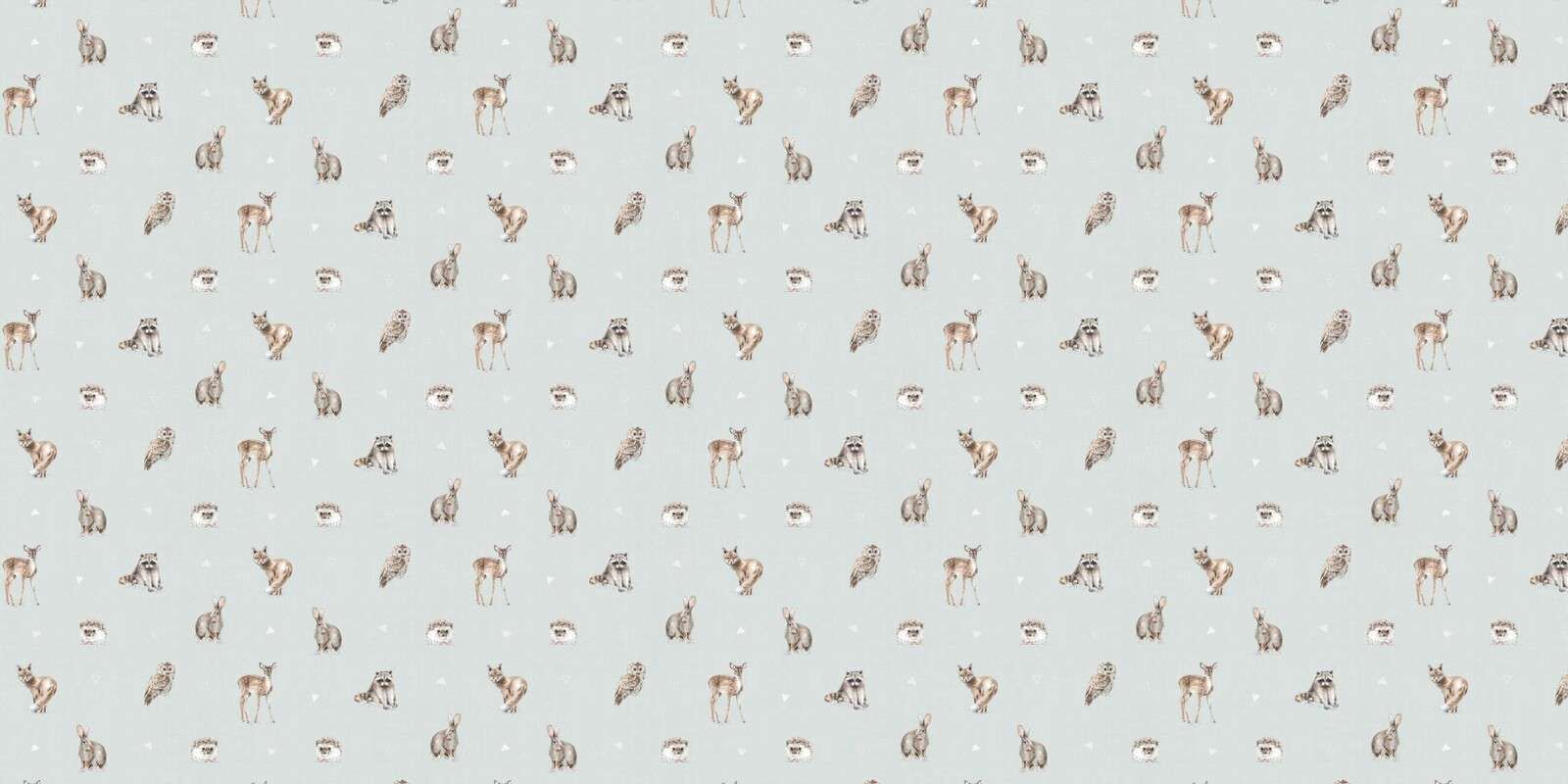 Amis de la Forêt Étape 01C