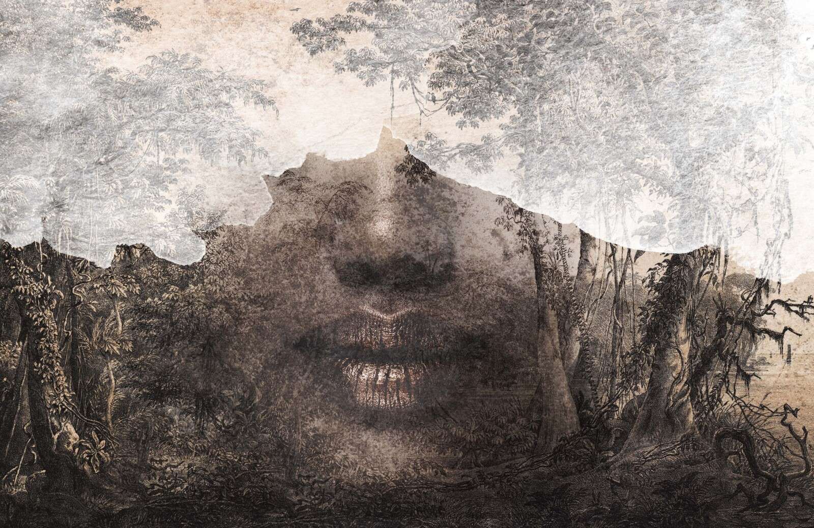 L'âme de la forêt L'âme de la forêt