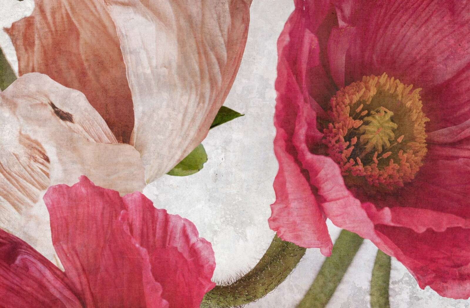 Coquelicots en rose et beige poudré