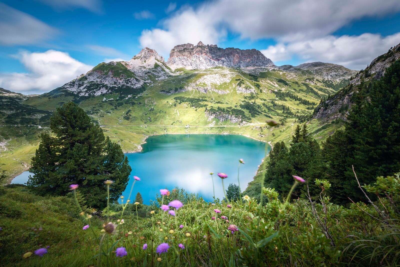 Lac de montagne avec des fleurs sauvages des Alpes.
