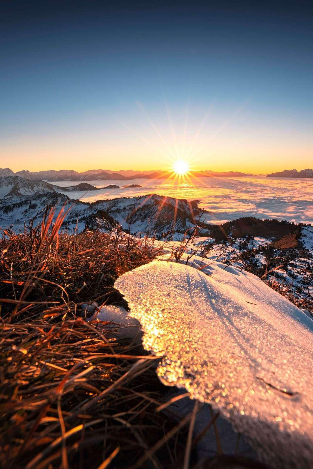 Le soleil du matin sur la prairie de montagne scintillante