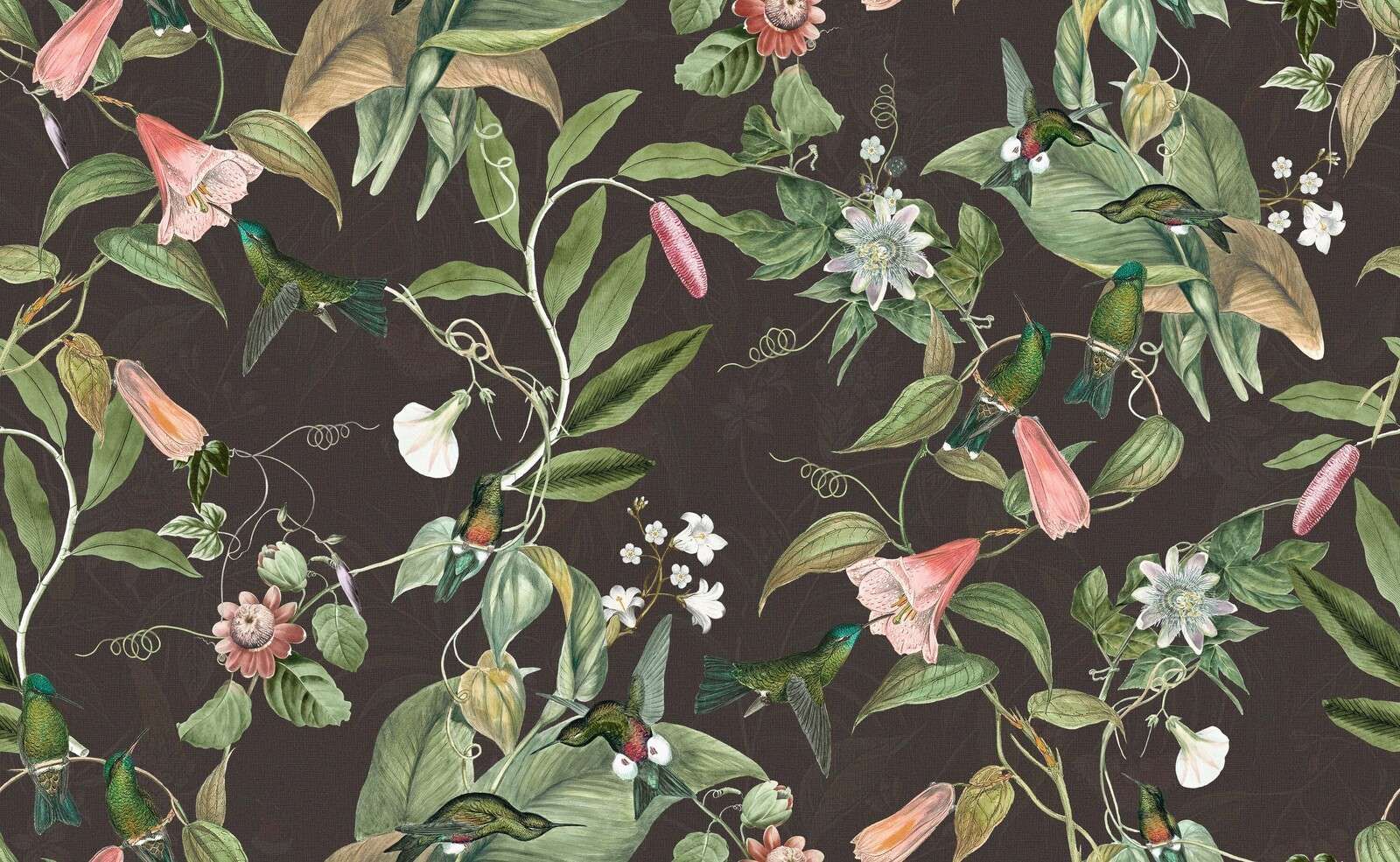 Colibris parmi des fleurs tropicales