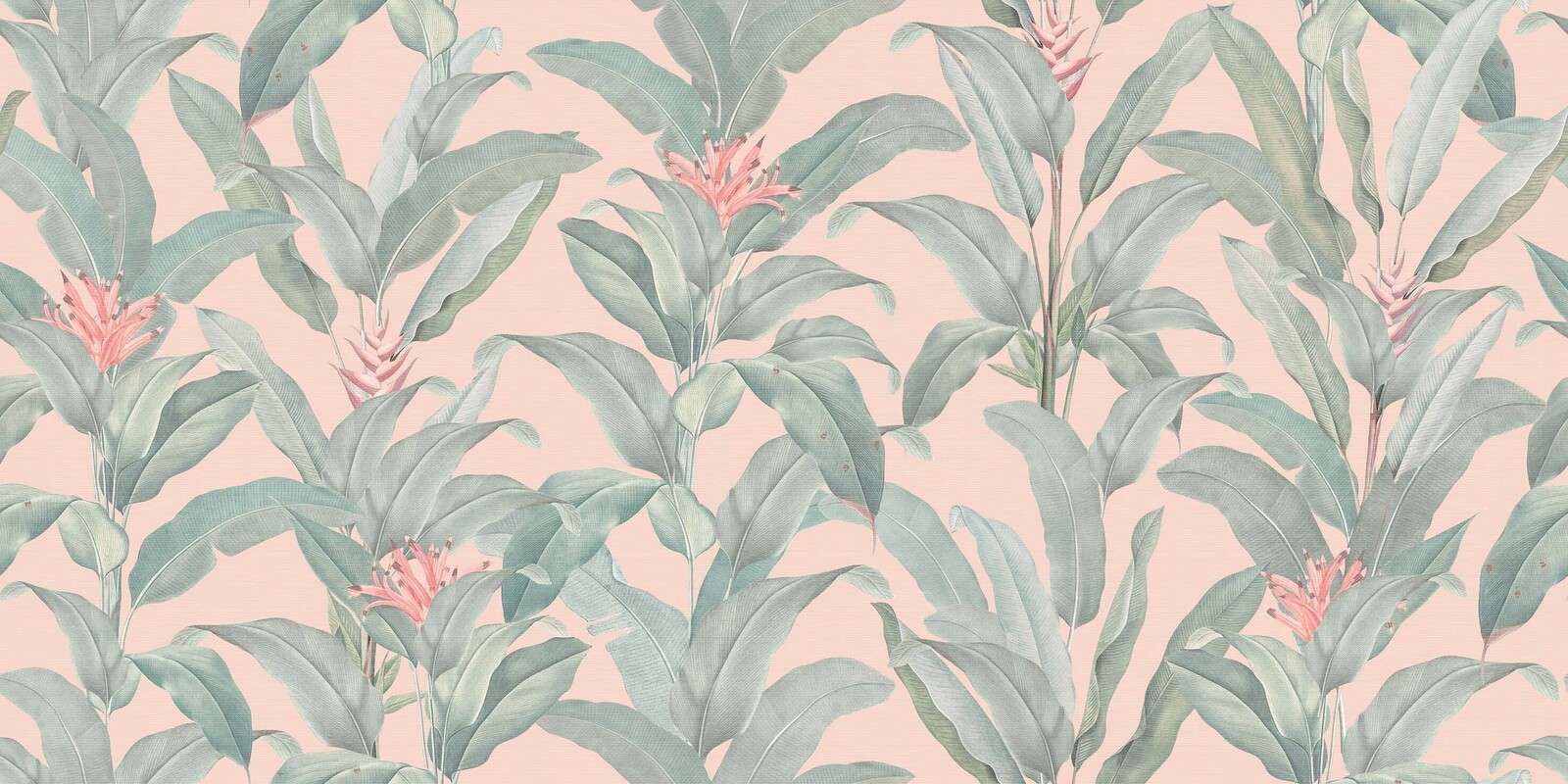 Héliconia tropicale en rose poudré