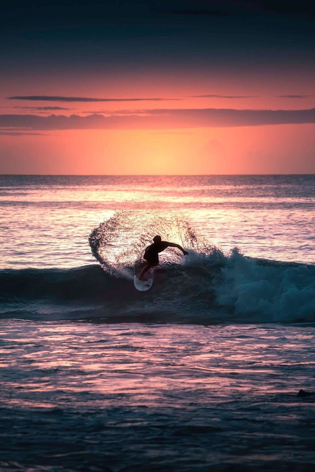 Surfeur dans la lueur rose du soir Surfeur dans la lueur rose du soir
