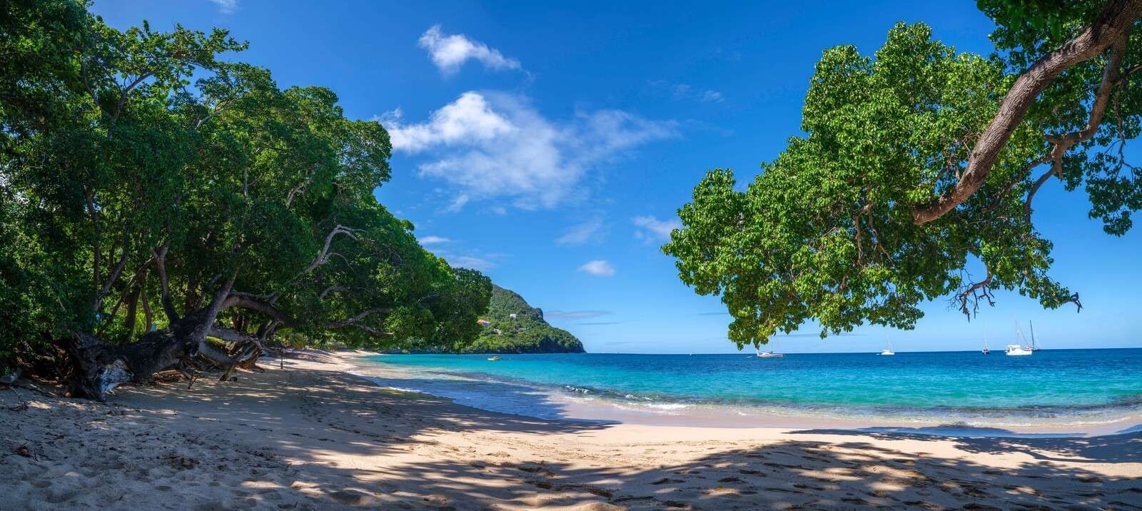 Plage tranquille à Saint-Vincent, Caraïbes